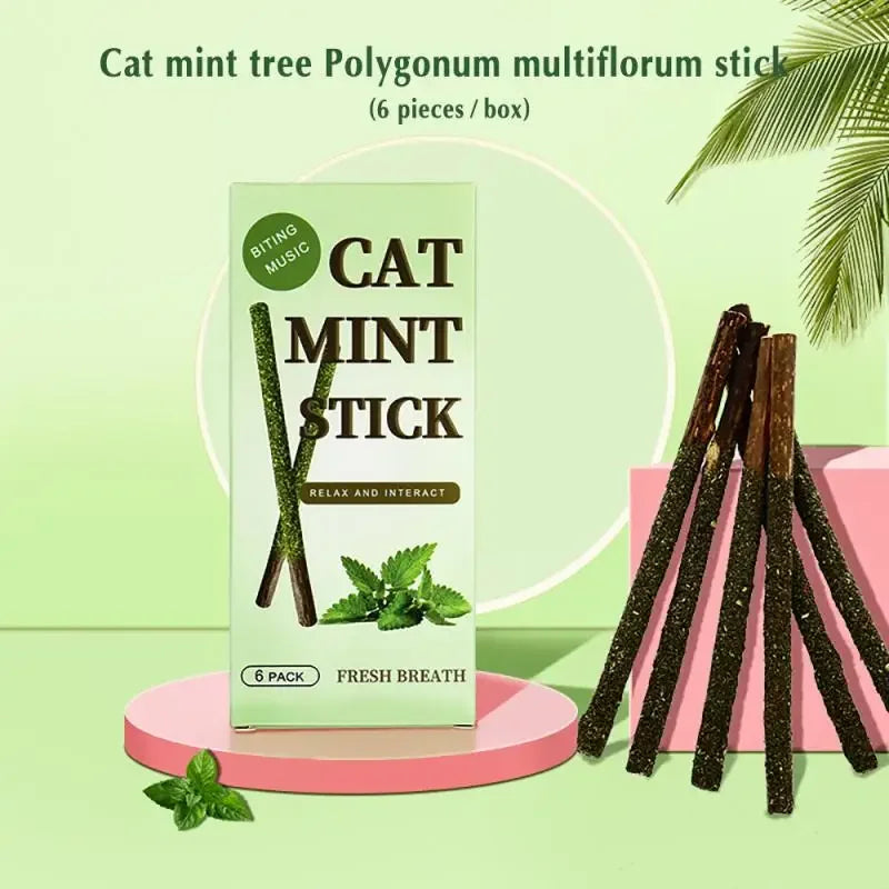 6pcs Natural Matatabi Cat Stick Mint Caught Bite