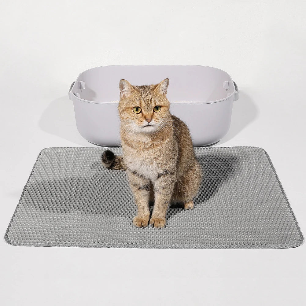 Cat Litter Mat Double Layer