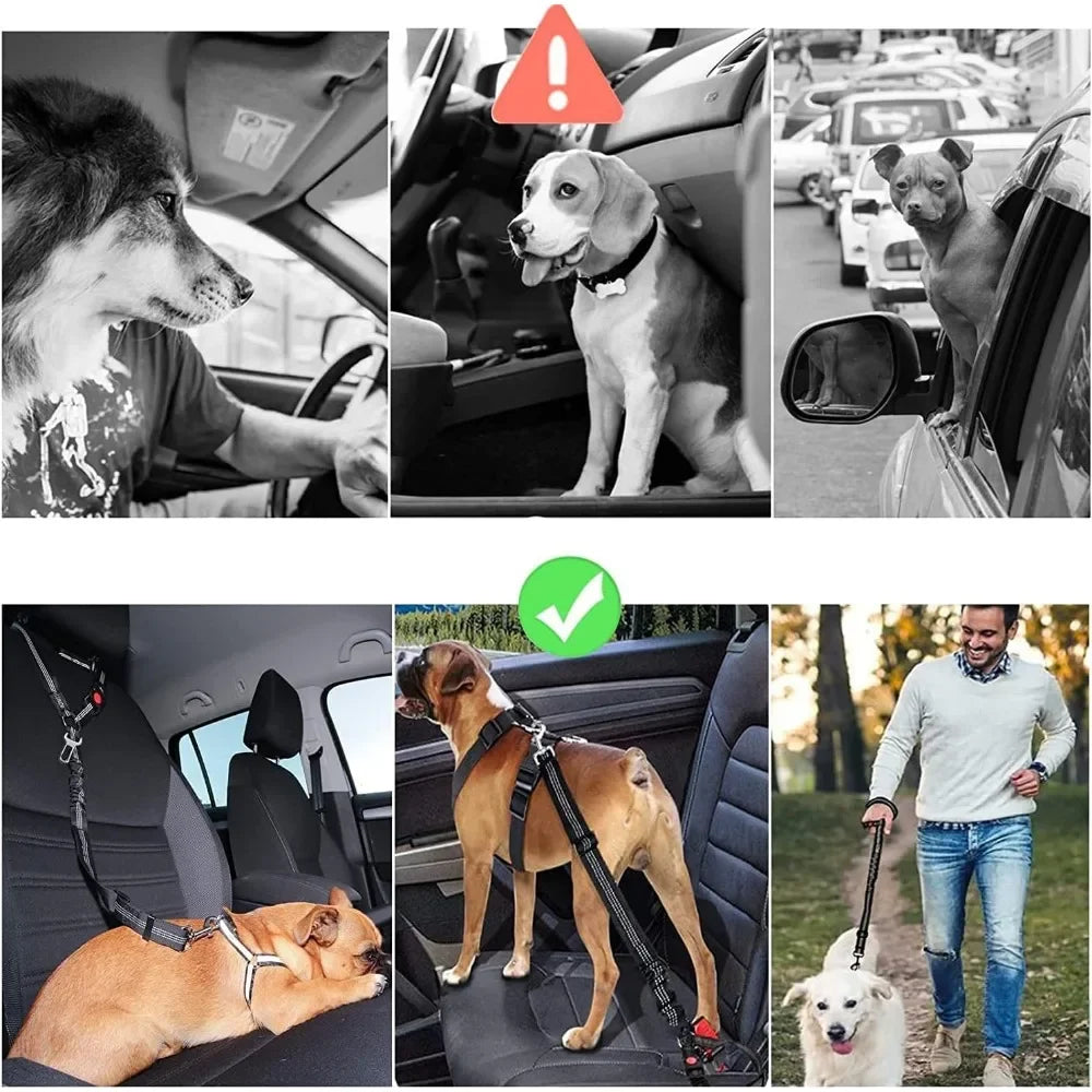 2-in-1 Dog Cat Car Seatbelt