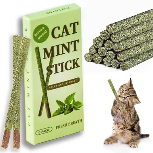 6pcs Natural Matatabi Cat Stick Mint Caught Bite